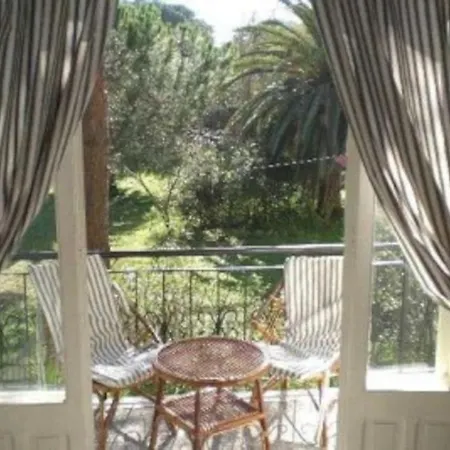 Aurelia, 70m From The Sea